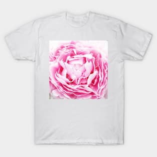 contemporary petals shabby chic french country pink peony T-Shirt